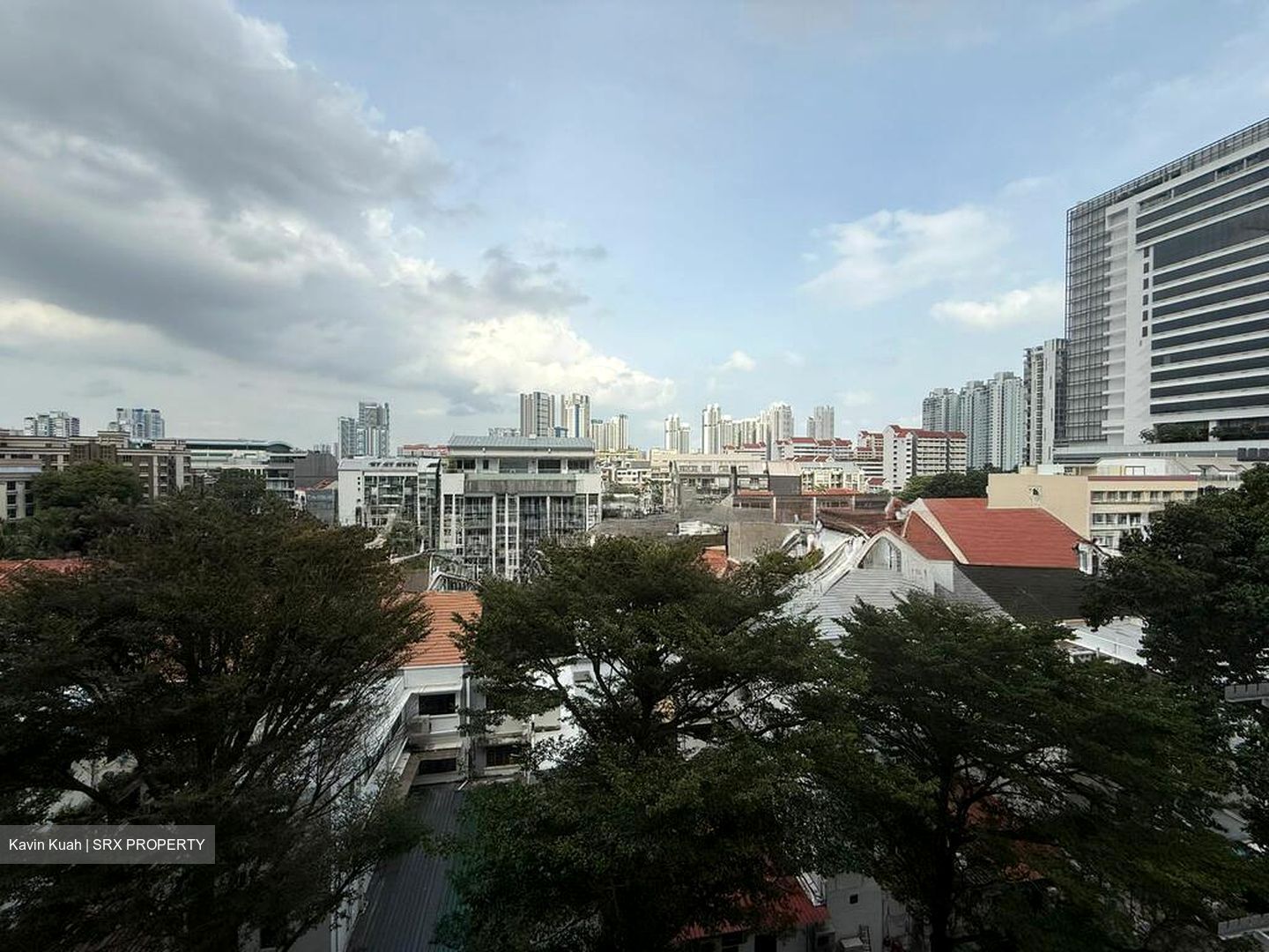 Blk 10 Farrer Park Gardens (Kallang/Whampoa), HDB 3 Rooms #518961061